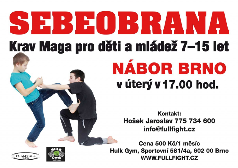 Sebeobrana pro děti a mládež